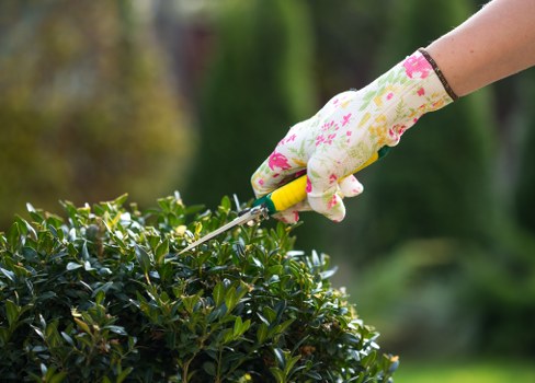 Gardeners Poplar ethical practice statement introduction