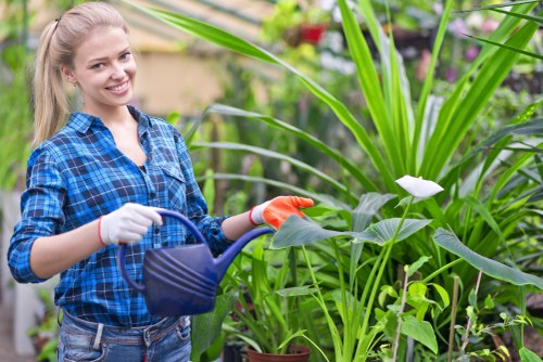 Garden maintenance service in Poplar with tidy lawn and trimmed borders