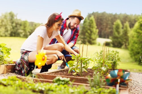 Healthy green lawn in Poplar with neat edging and fresh growth