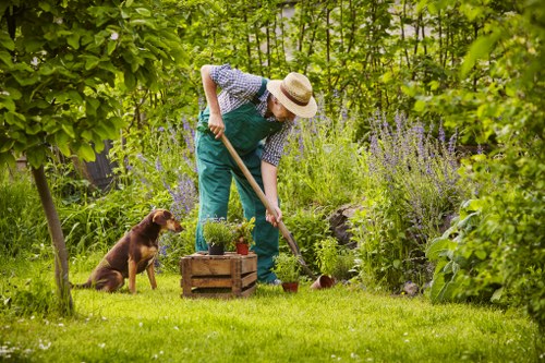 Professional garden clearance work in Poplar