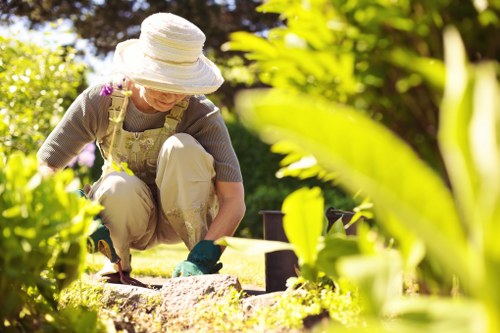 Seasonal hedge trimming in Poplar for healthy green boundaries