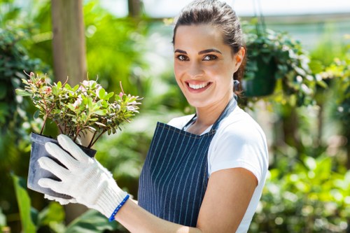 Poplar garden upkeep with leaf clearing and lawn maintenance