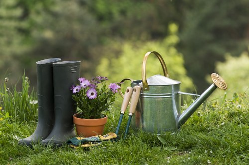 Professional lawn mowing in Poplar maintaining a tidy garden edge