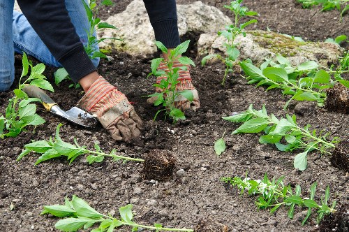 Outdoor maintenance area kept tidy and safe during gardening service