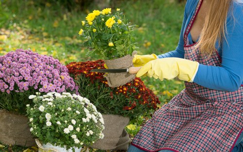 Professional gardeners in Poplar completing safe and responsible outdoor work