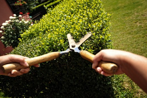 Annual review of modern slavery controls for Gardeners Poplar