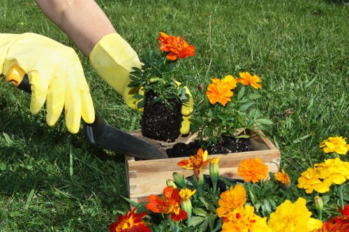 Professional fence installation in Poplar