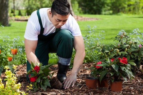 Professional gardener providing garden maintenance in Poplar