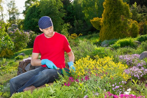 Trained gardeners in Poplar using safe working practices