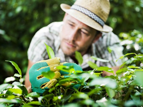 Reusable garden items set aside for charity partnership collection