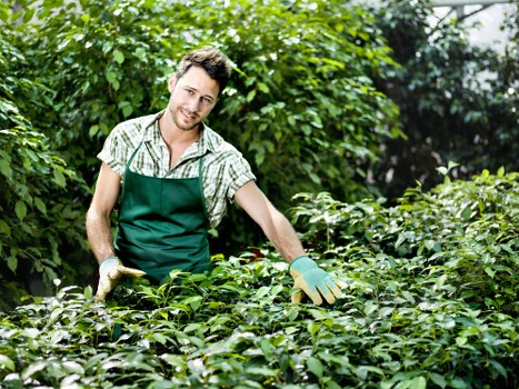 Poplar gardening team providing thoughtful garden maintenance