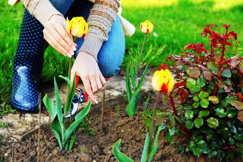 Resolving a garden maintenance complaint