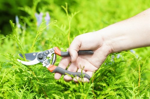 Garden waste and debris removal in Poplar