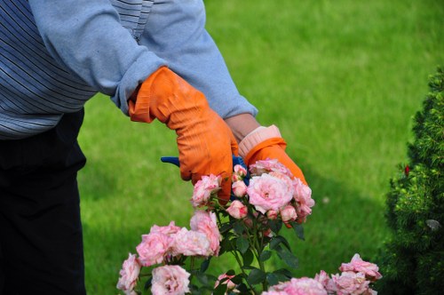PPE and safety equipment used by Poplar gardening staff