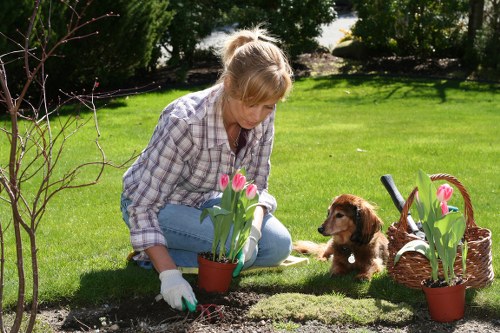 Soft landscaping and garden improvement work in Poplar