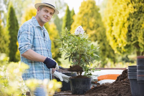 Local gardeners in Poplar creating a tidy and healthy garden