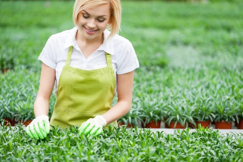 Professional gardeners in Poplar maintaining borders and lawns