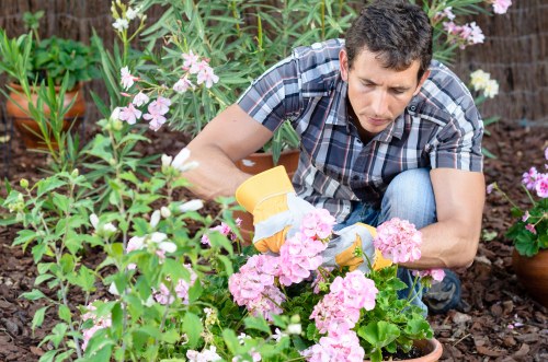 Load-based and cubic-yard garden service rates in Poplar